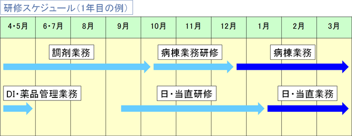 薬学生 新人研修スケジュール