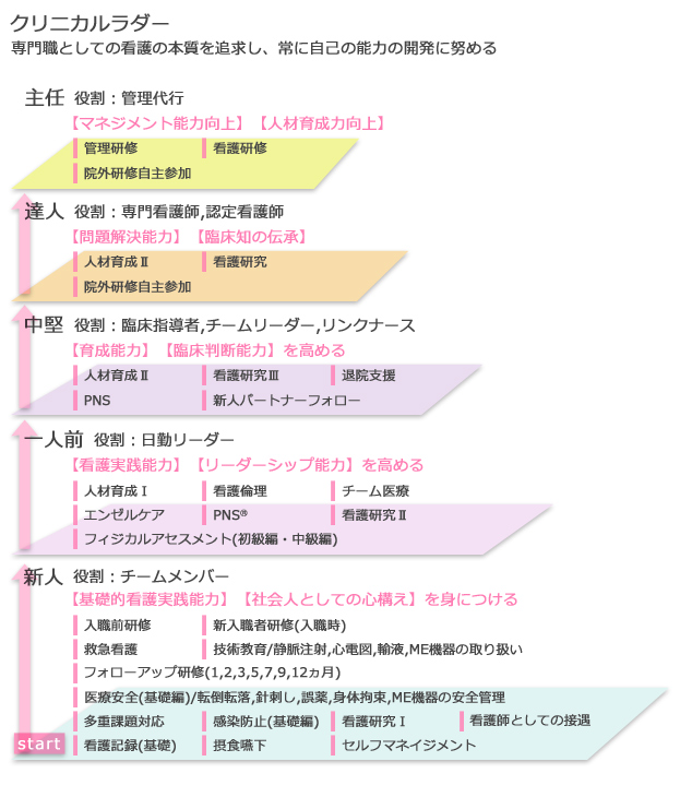 クリニカルラダー　表